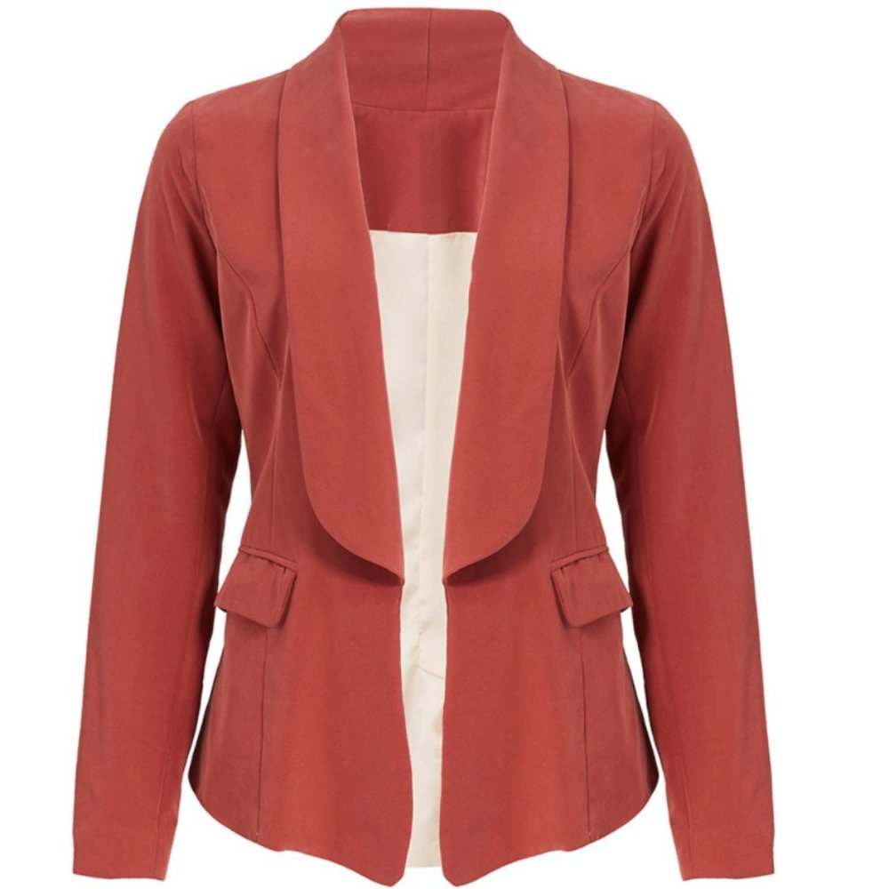 Slate & Willow Rust Boyfriend Blazer sz S